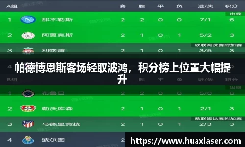 帕德博恩斯客场轻取波鸿，积分榜上位置大幅提升