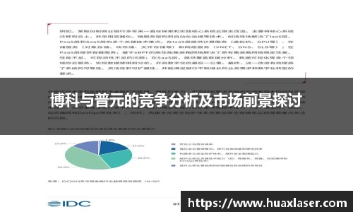博科与普元的竞争分析及市场前景探讨