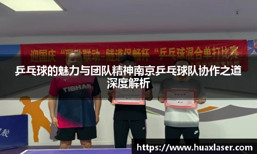 乒乓球的魅力与团队精神南京乒乓球队协作之道深度解析